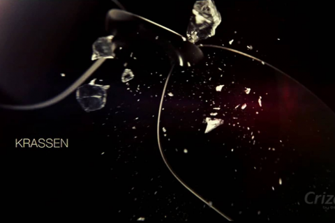 frank van looy montage